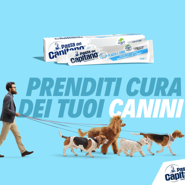 00_canini