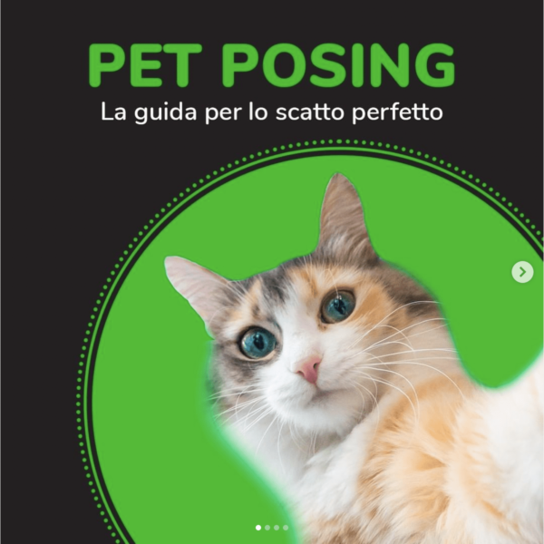 Frontline – Pet posing